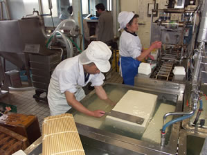 小熊豆腐店